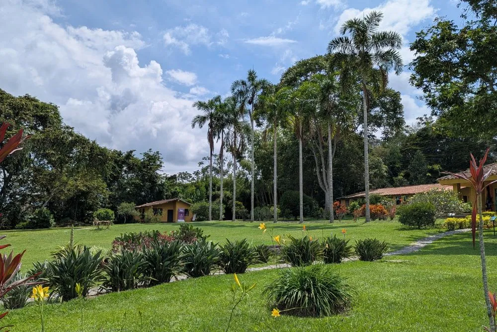 Museo Arqueológico Calima