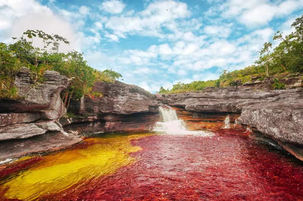 Cano cristales Caño Cristales