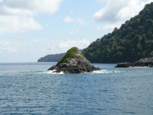 Isla Gorgona Colombia
