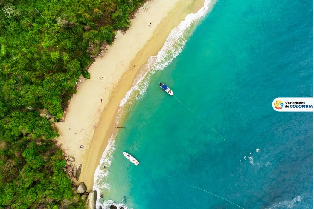 experiencias únicas en el Tayrona