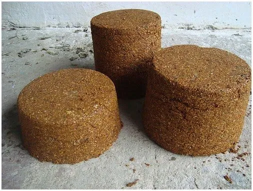 Alimento para ganado lechero Alimento para ganado lechero