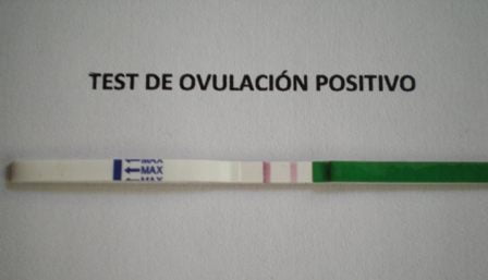 Todo acerca del test de ovulación