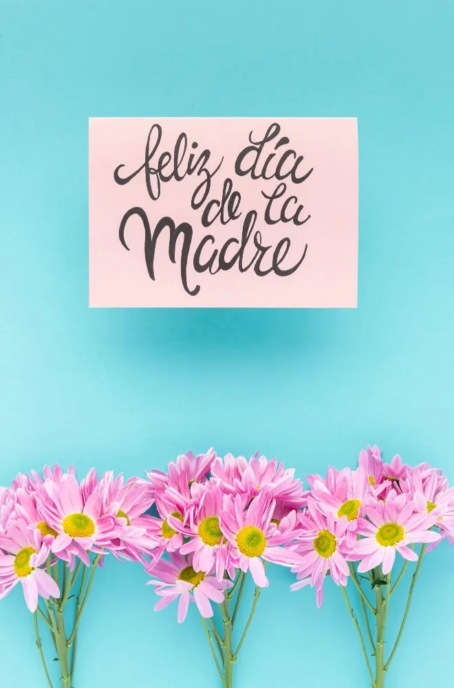 feliciataciones a todas las madres en su día
