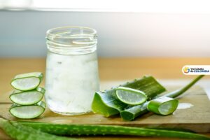 aloe vera para la salud