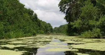 Parque Natural Isla de Salamanca