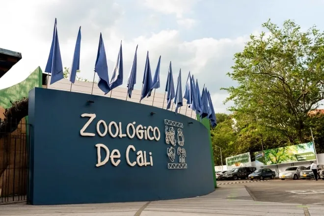 zoológico en Cali