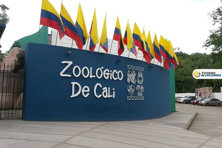 Zoologico de Cali Recorrido familiar por el Zoológico