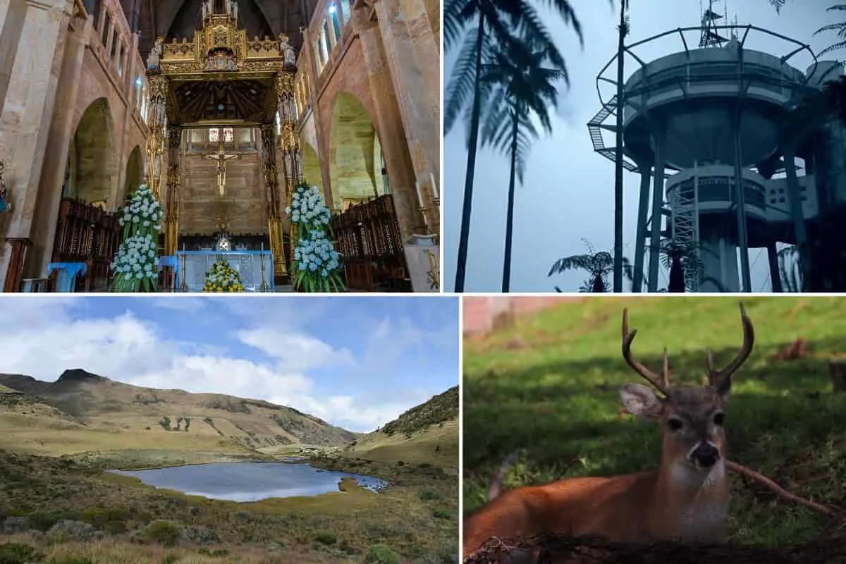 Lugares Turísticos de Manizales Vista panorámica de los principales atractivos turísticos en Manizales