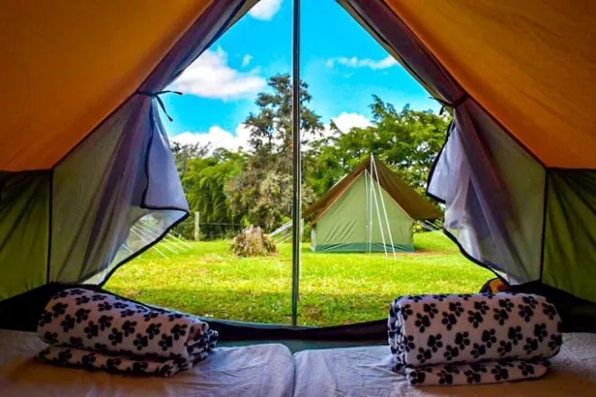 Zona de Camping EcoLife Zona de Camping EcoLife