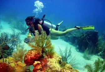 Las mejores agencias de viajes para viajar a Cartagena de Indias