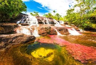 cano cristales Colombia
