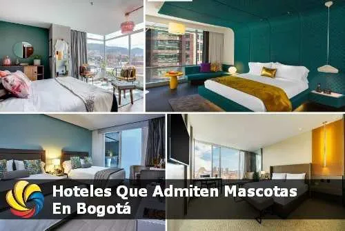 Listado de hoteles que aceptan mascotas