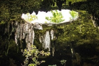 cenotes Riviera Maya