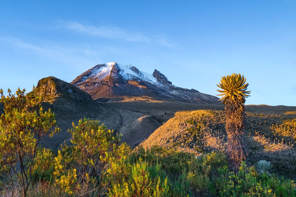 Parque Nacional Natural Los Nevados Camping en el Parque Nacional Natural Los Nevados