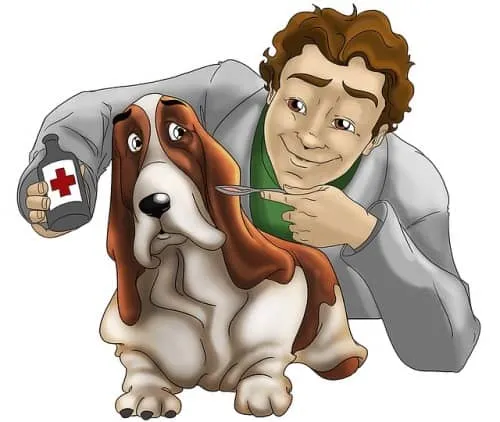 medicina veterinaria