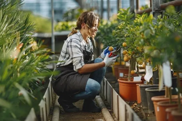 Jardineros Jardineros especializados