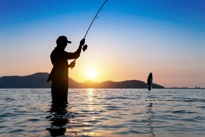 turismo de pesca aquí