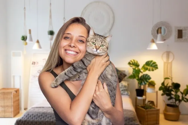 cuidados felinos Consejos para el bienestar felino