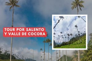 Tour por Salento y valle de Cocora
