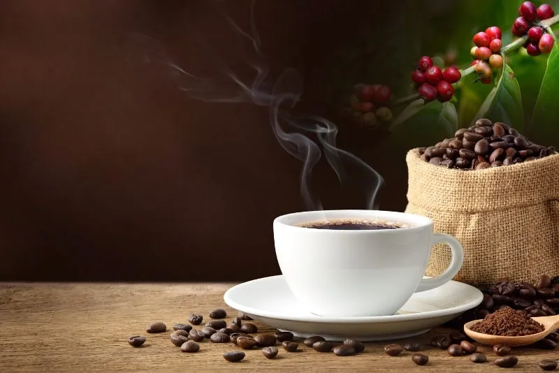 Paisaje t&iacute;pico de los cafetales en Colombia