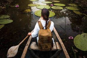 El Amazonas es un Pulsar de Vida y Diversidad Ecológica