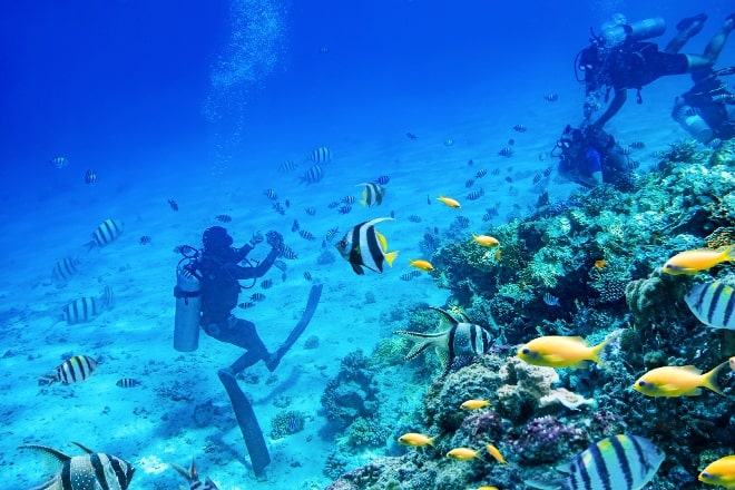 Snorkel y buceo Actividades de snorkel y buceo en Los Cabos para familias