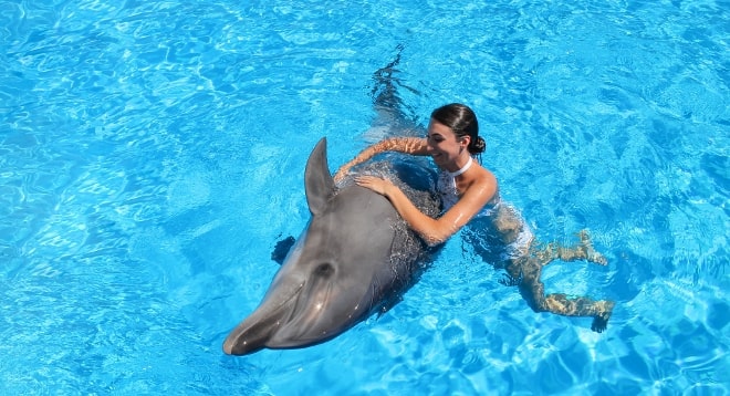 cuidadores altamente calificados Familia disfrutando nado con delfines en Los Cabos