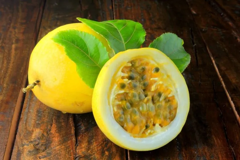 Cultura en Cada Bocado: la frescura de las frutas colombianas