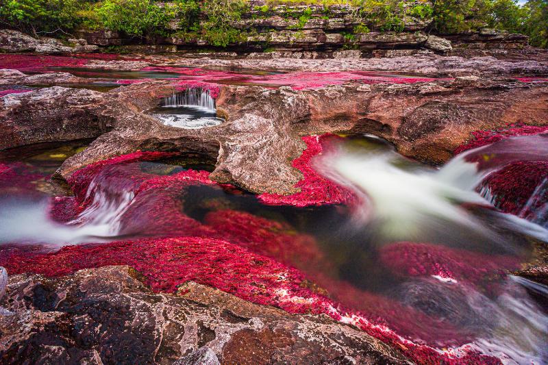 Caño Cristales, el Río de los Cinco Colores