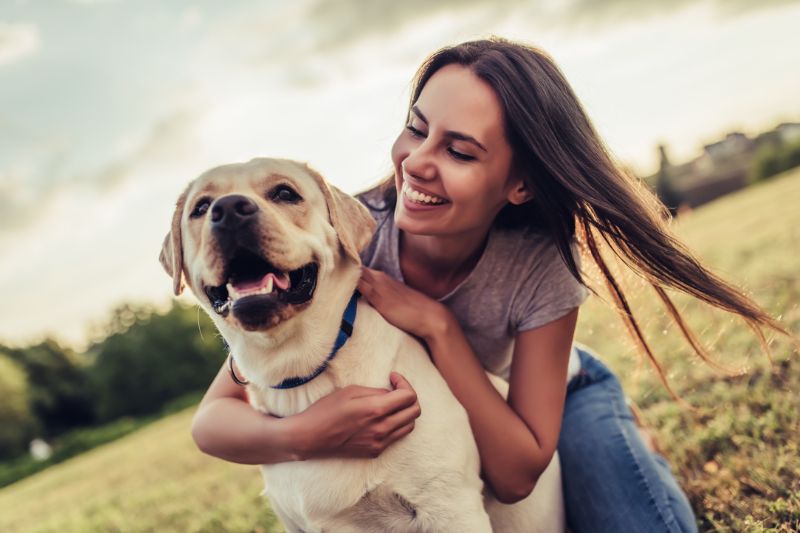 Perro recibiendo cuidados para su salud y bienestar óptimo