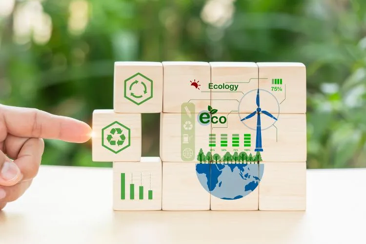 Representaci&oacute;n de estrategias para sostenibilidad y econom&iacute;a circular