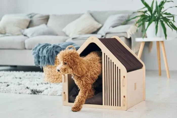 Espacio acogedor con decoración y seguridad para mascotas