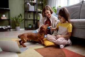 Espacio acogedor para tus mascotas en casa