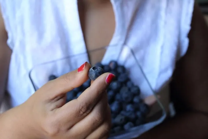 frutas de colores oscuros Variedad de colores saludables en alimentos diarios