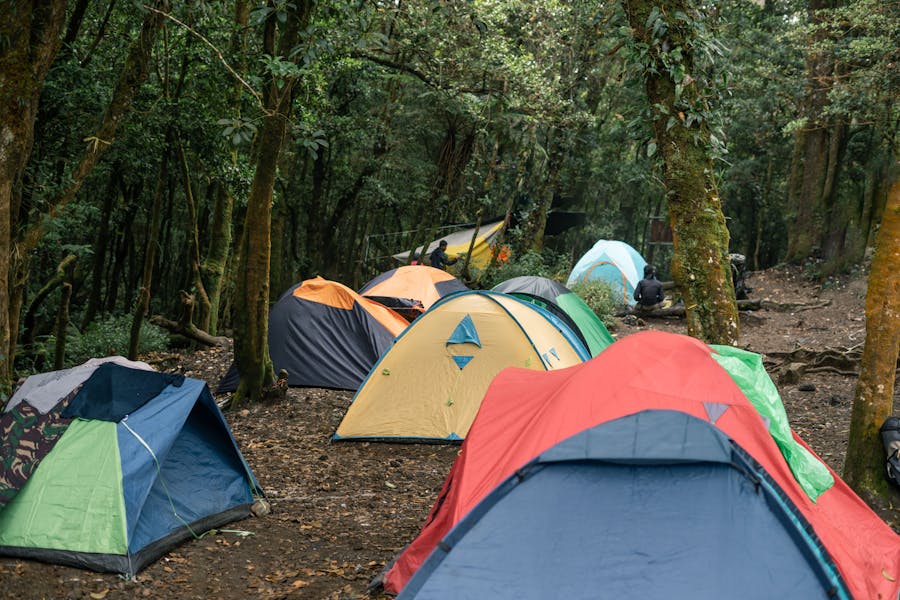 Imagen de Zonas de Camping en el Eje Cafetero 2026