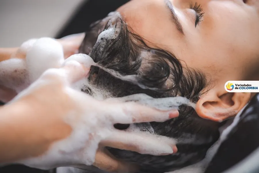 shampoos convencionales