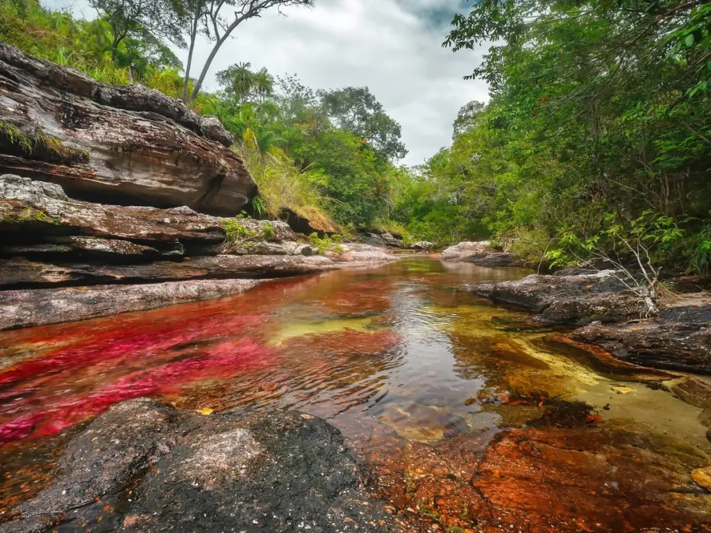 Foto de Caño Cristales, Colombia