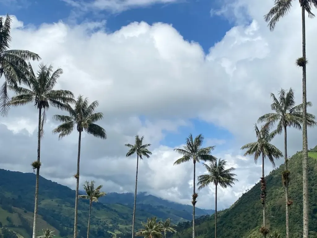 Foto de Salento y Valle del Cocora, Colombia