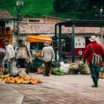 Frutas de temporada en Colombia: calendario mes a mes y recetas